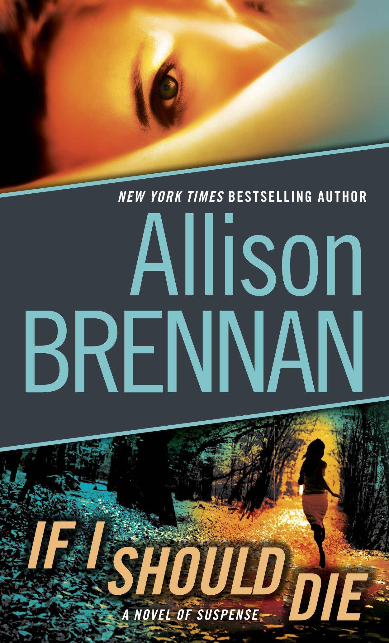 Lucy Kincaid book cover 3