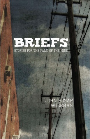 Briefs book cover