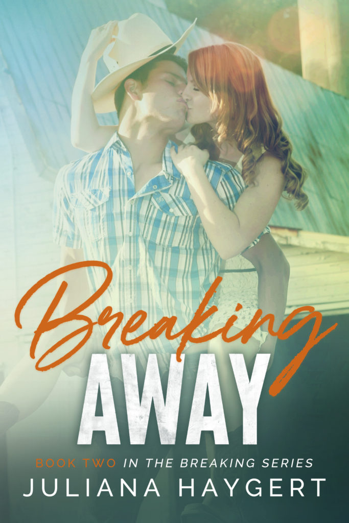 Breaking book cover 2