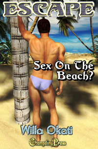 Sex on the Beach book cover