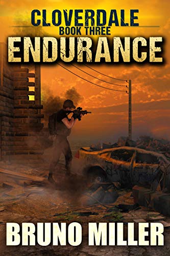 Endurance book cover