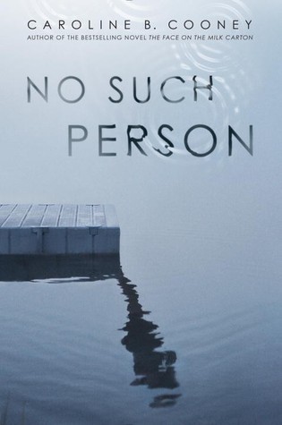 No Such Person book cover