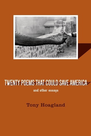 Twenty Poems That Could Save America and Other Essays book cover