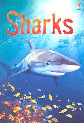 Sharks book cover