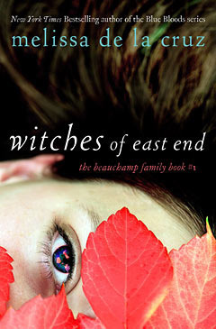 The Beauchamp Family book cover 1