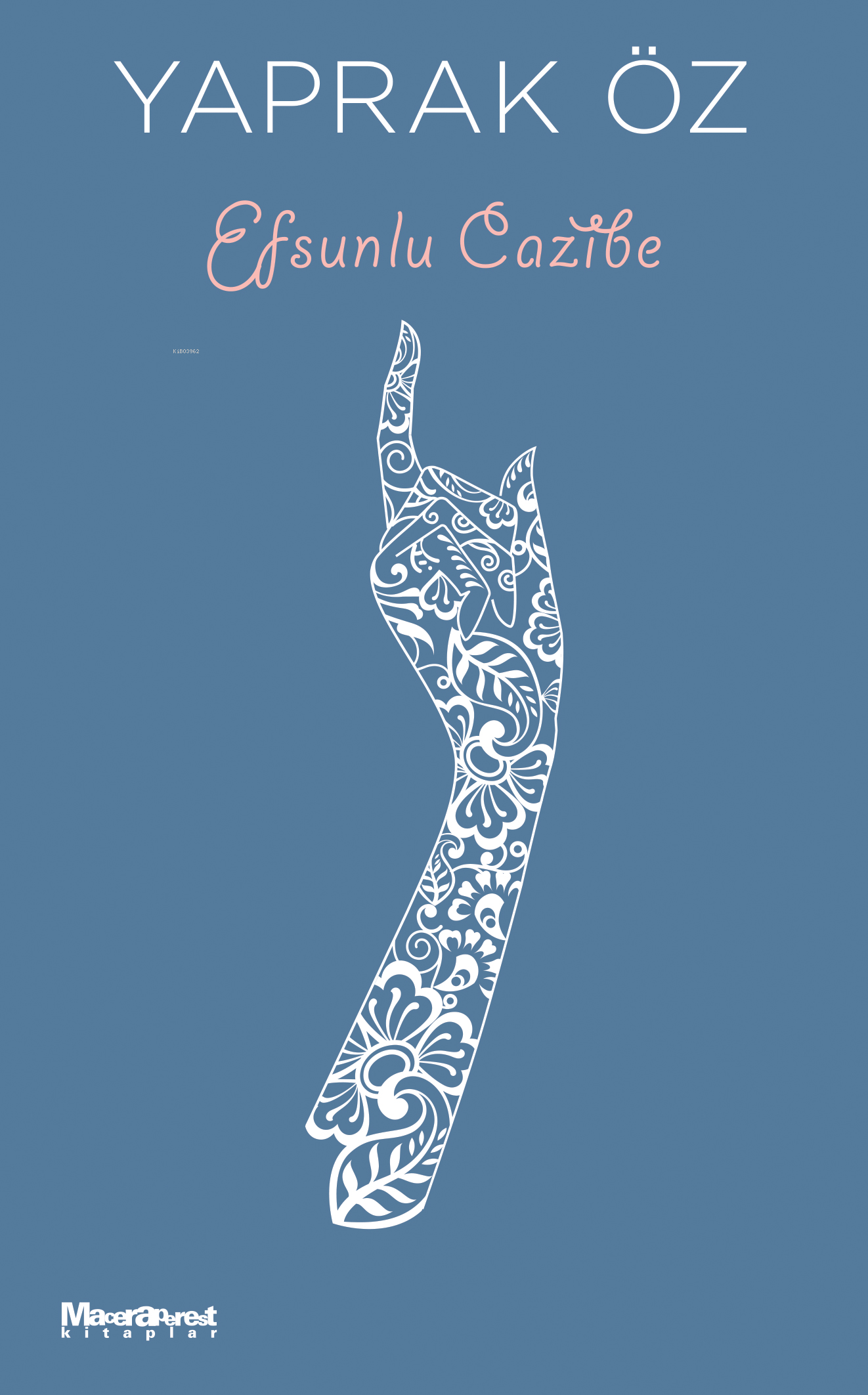 Efsunlu Cazibe book cover