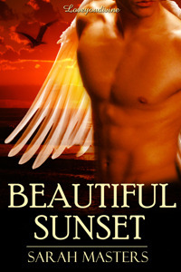 Beautiful Sunset book cover