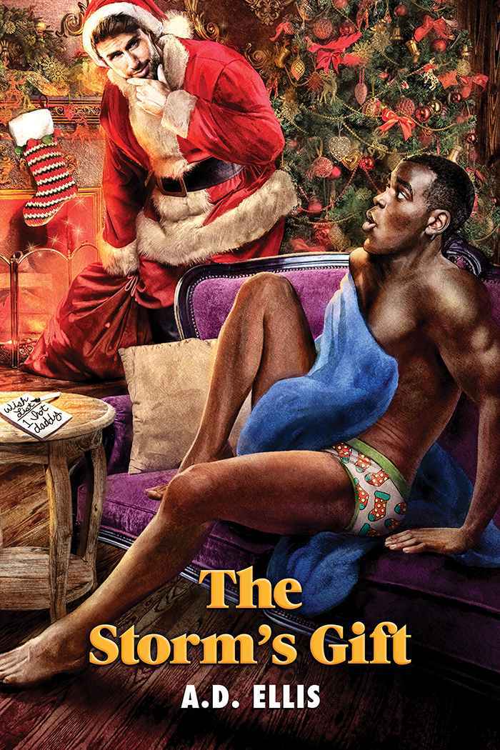 The Storm's Gift book cover
