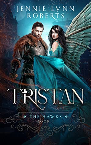 The Hawks book cover 2