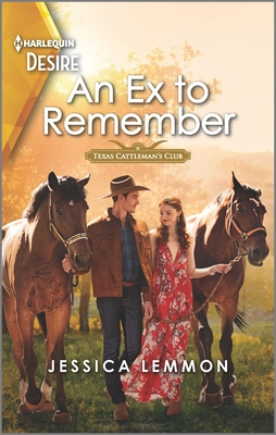 An Ex to Remember book cover