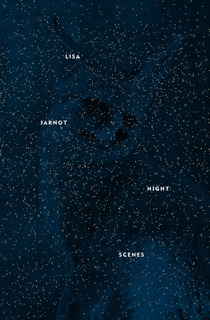 Night Scenes book cover