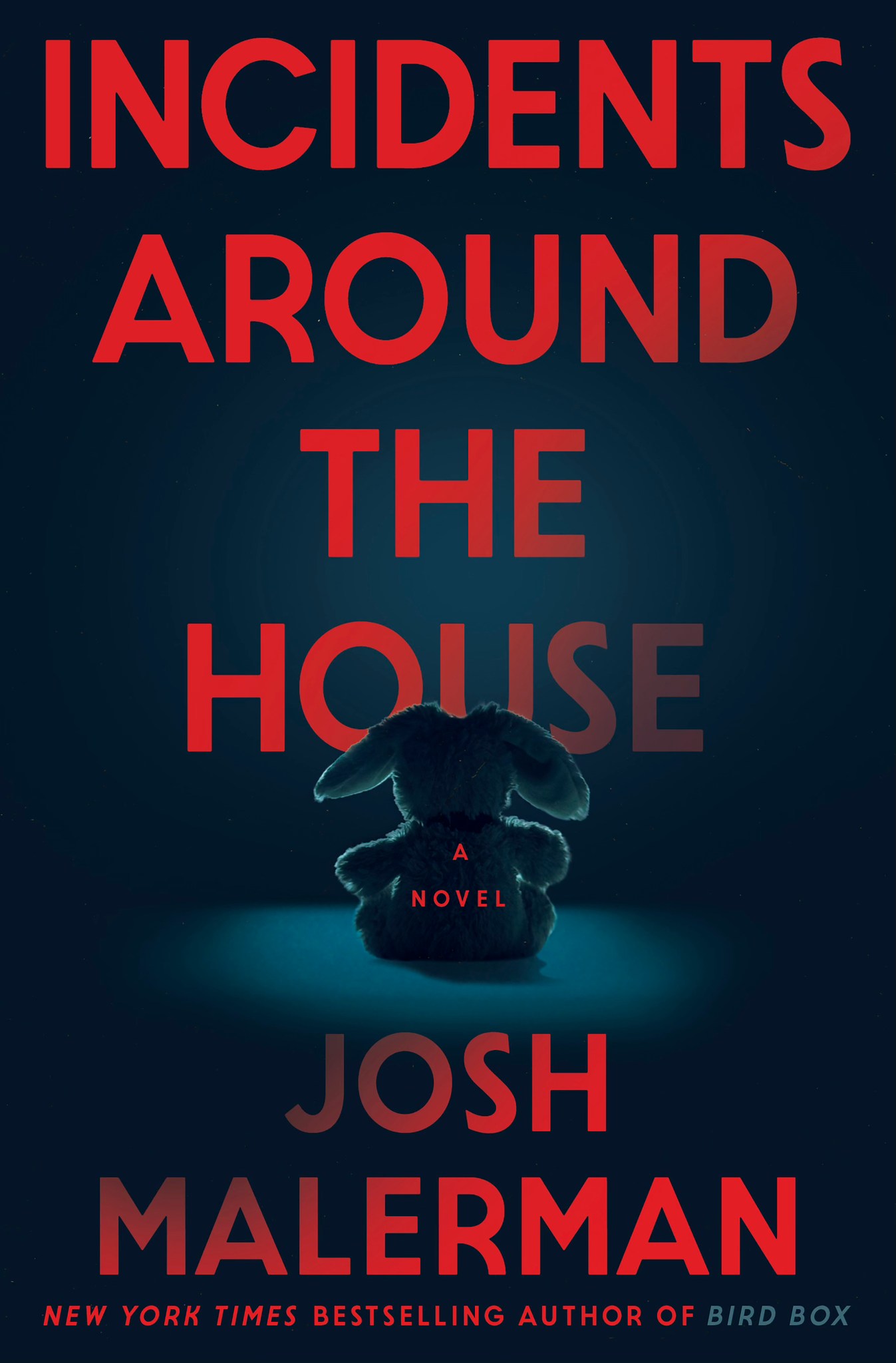 Incidents Around the House book cover