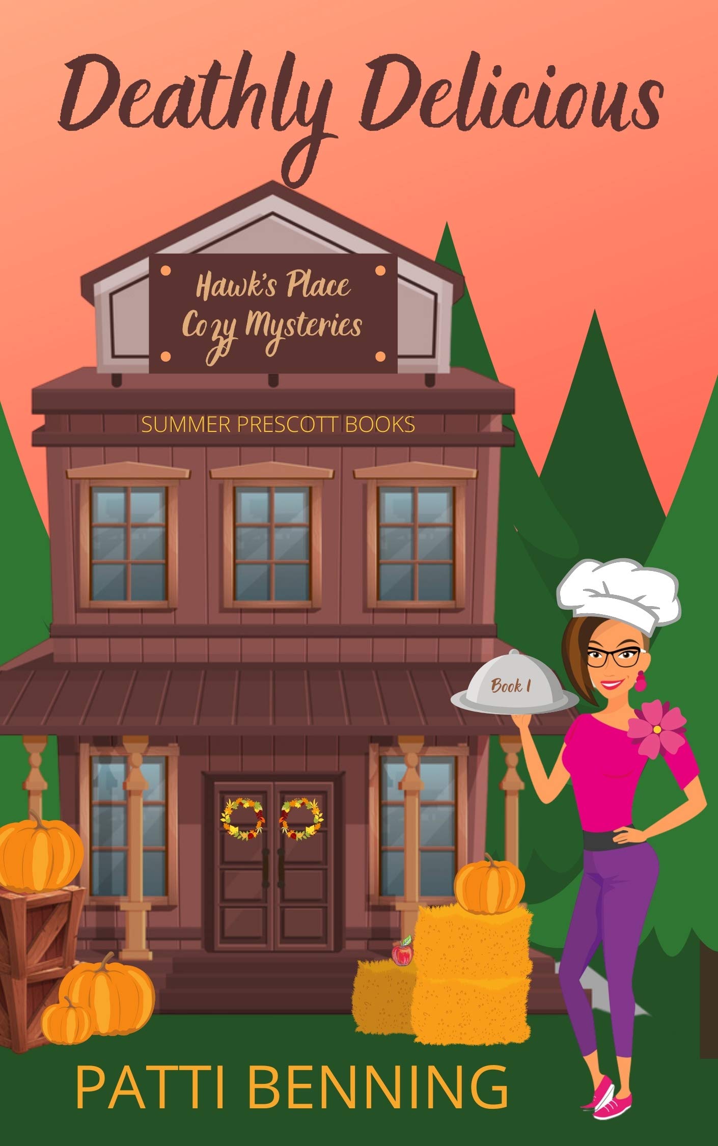 Hawk's Place book cover 1