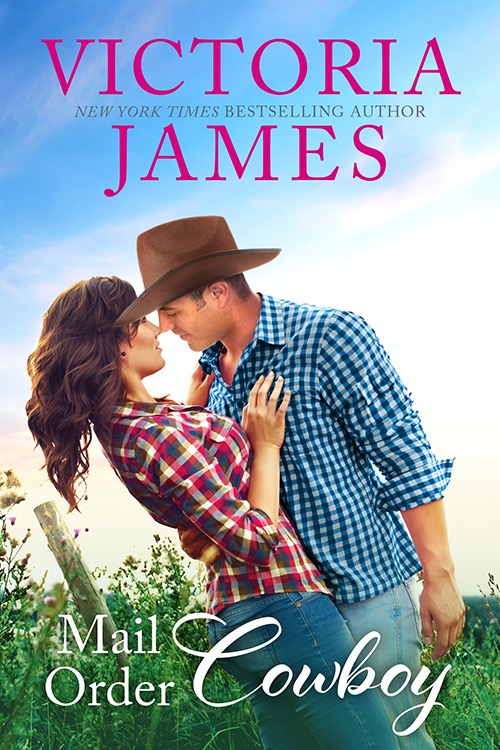 Mail Order Cowboy book cover