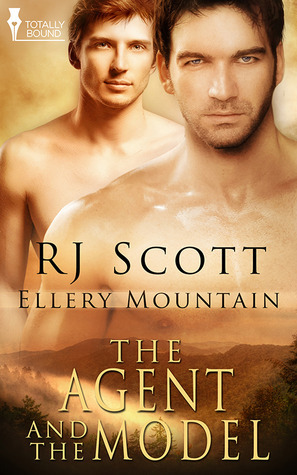 The Agent and the Model book cover