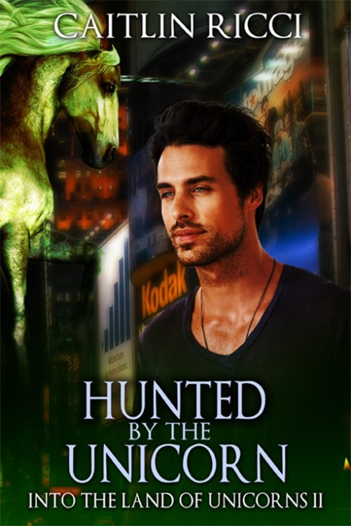 Into the Land of Unicorns book cover 2