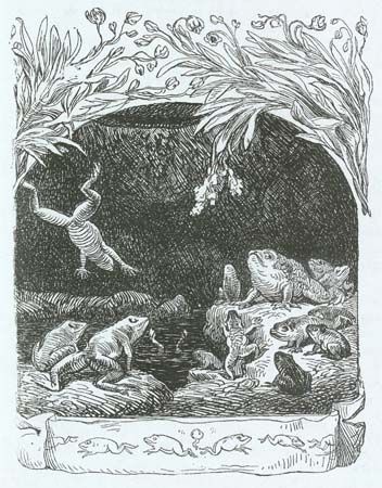 The Toad book cover