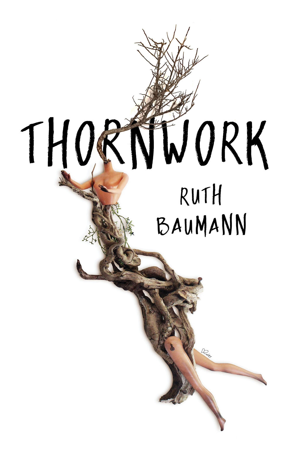 Thornwork book cover