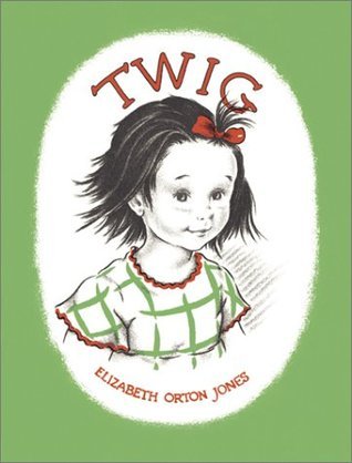 Twig book cover
