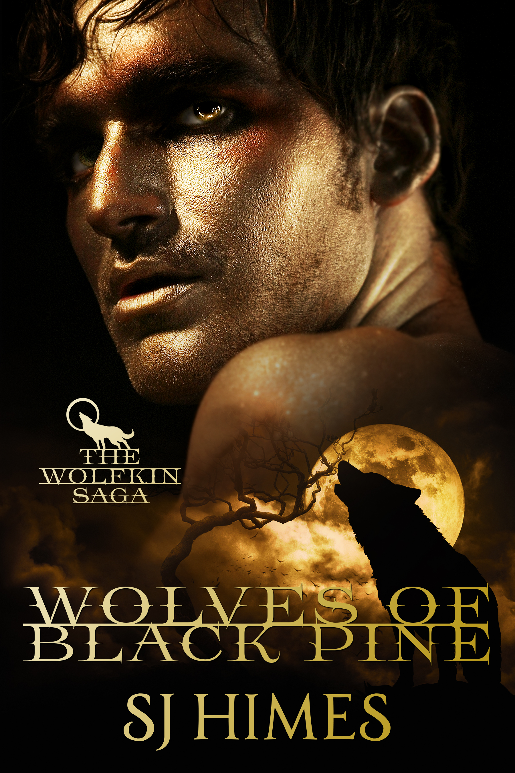 The Wolfkin Saga book cover 1