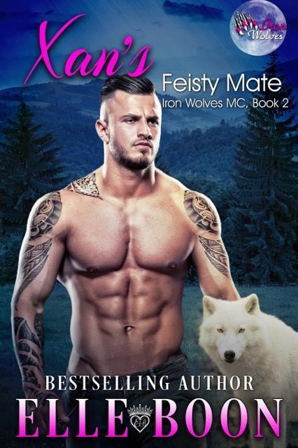Iron Wolves MC book cover 2