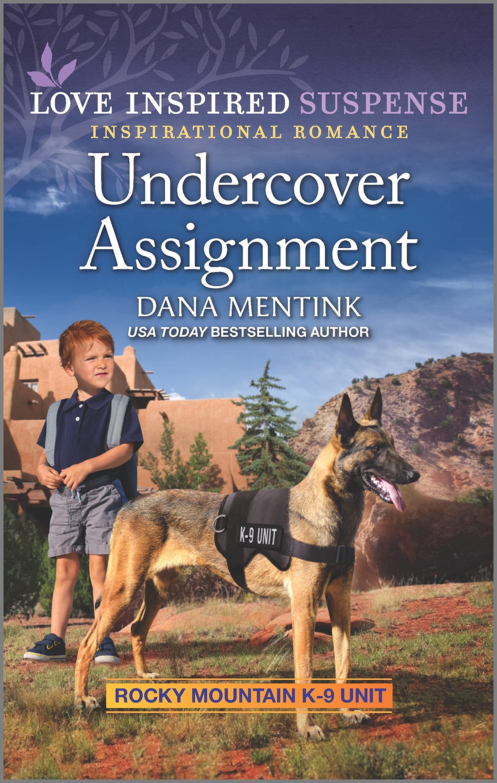 Undercover Assignment book cover