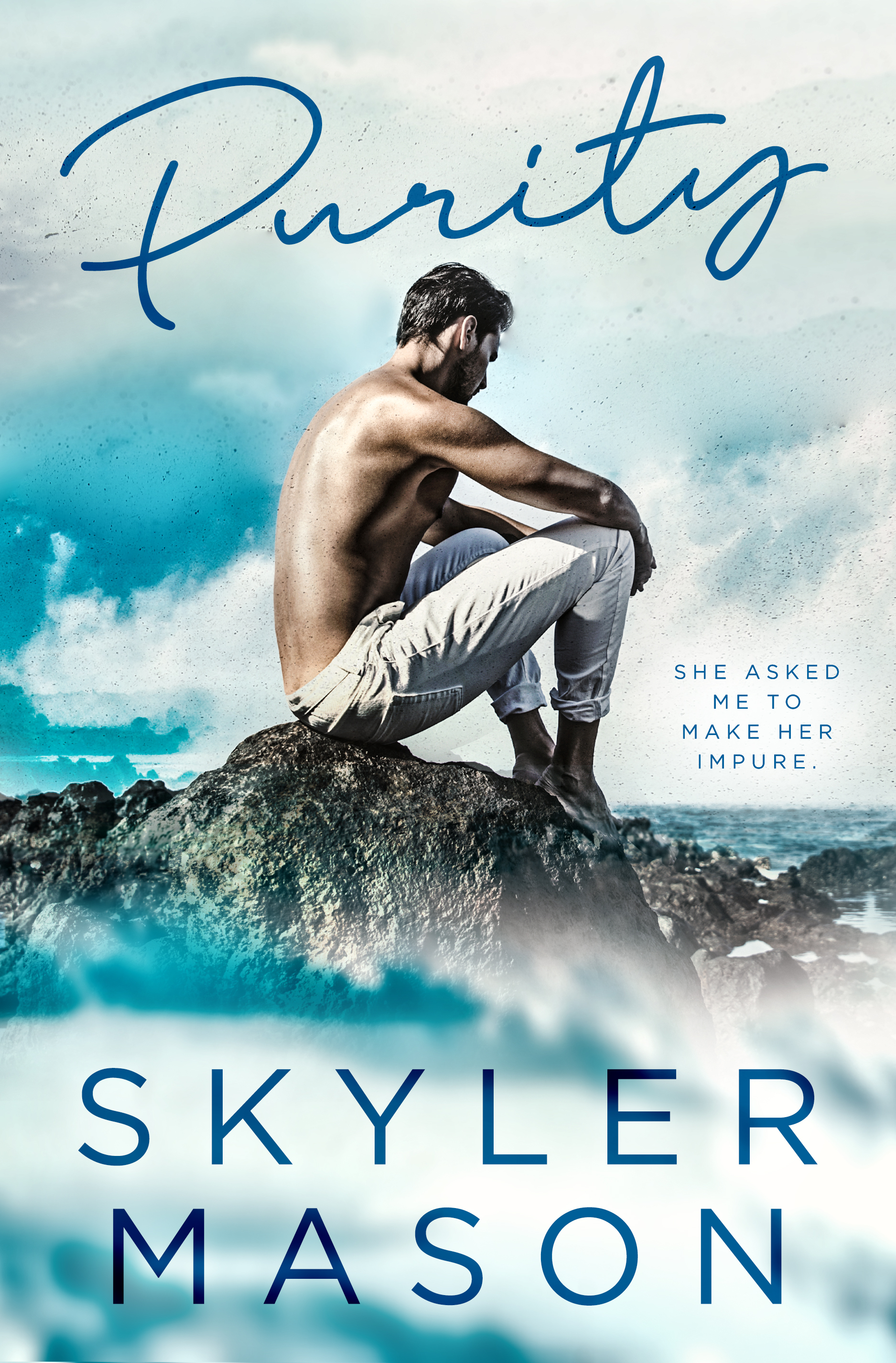 Purity book cover 1