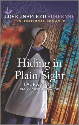 Hiding in Plain Sight book cover