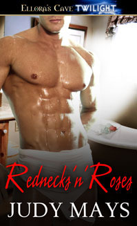 Redneck Vampires book cover 1