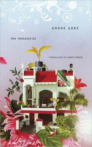 The Immaterial book cover
