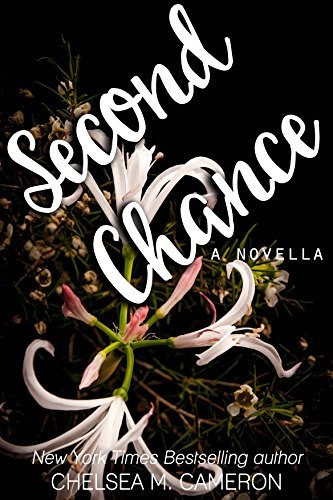 Violet Hill book cover 3