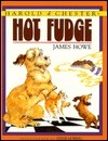 Hot Fudge book cover
