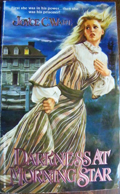 Darkness at Morning Star book cover