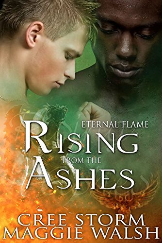 Eternal Flame book cover 2