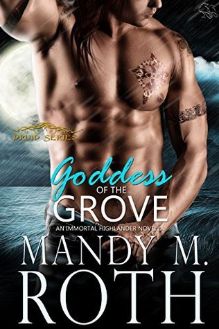 Druid book cover 2
