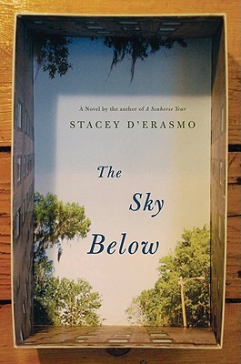 The Sky Below book cover