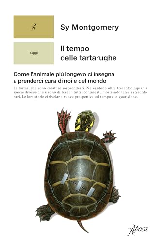 Il tempo delle tartarughe book cover