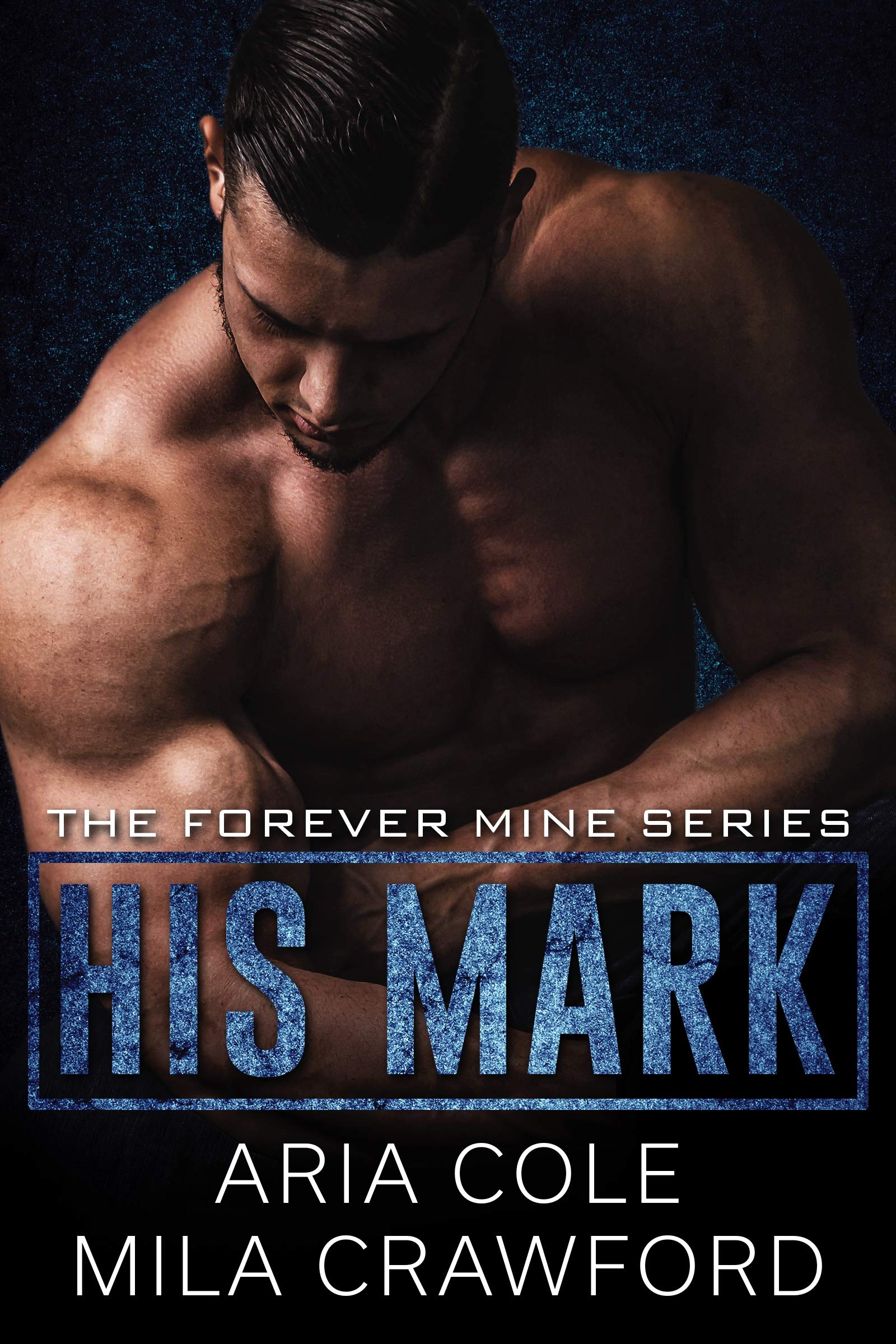 His Mark book cover