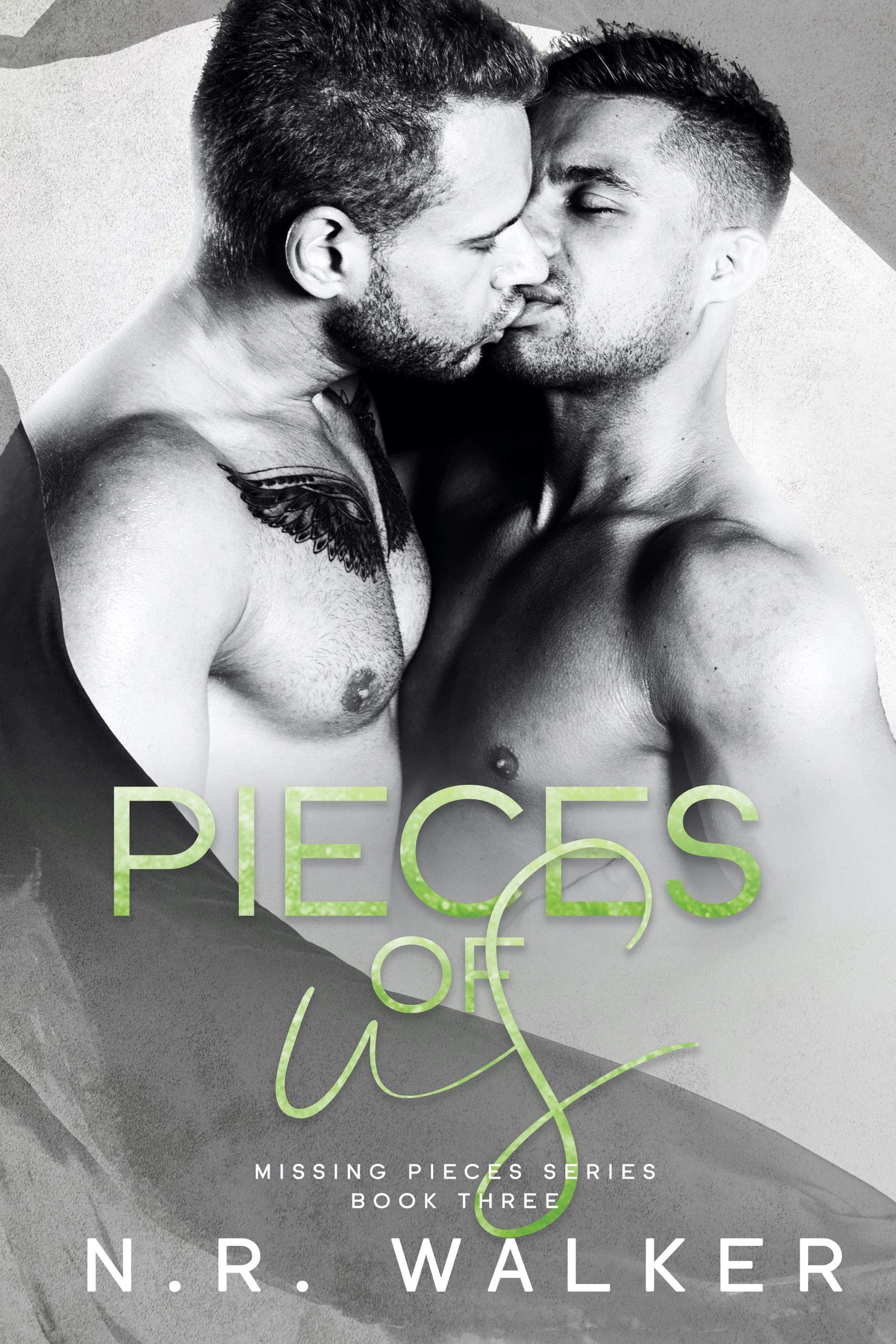 Missing Pieces book cover 3