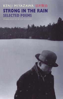 Strong in the Rain book cover