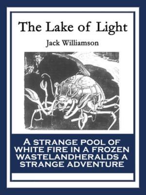 The Lake of Light book cover