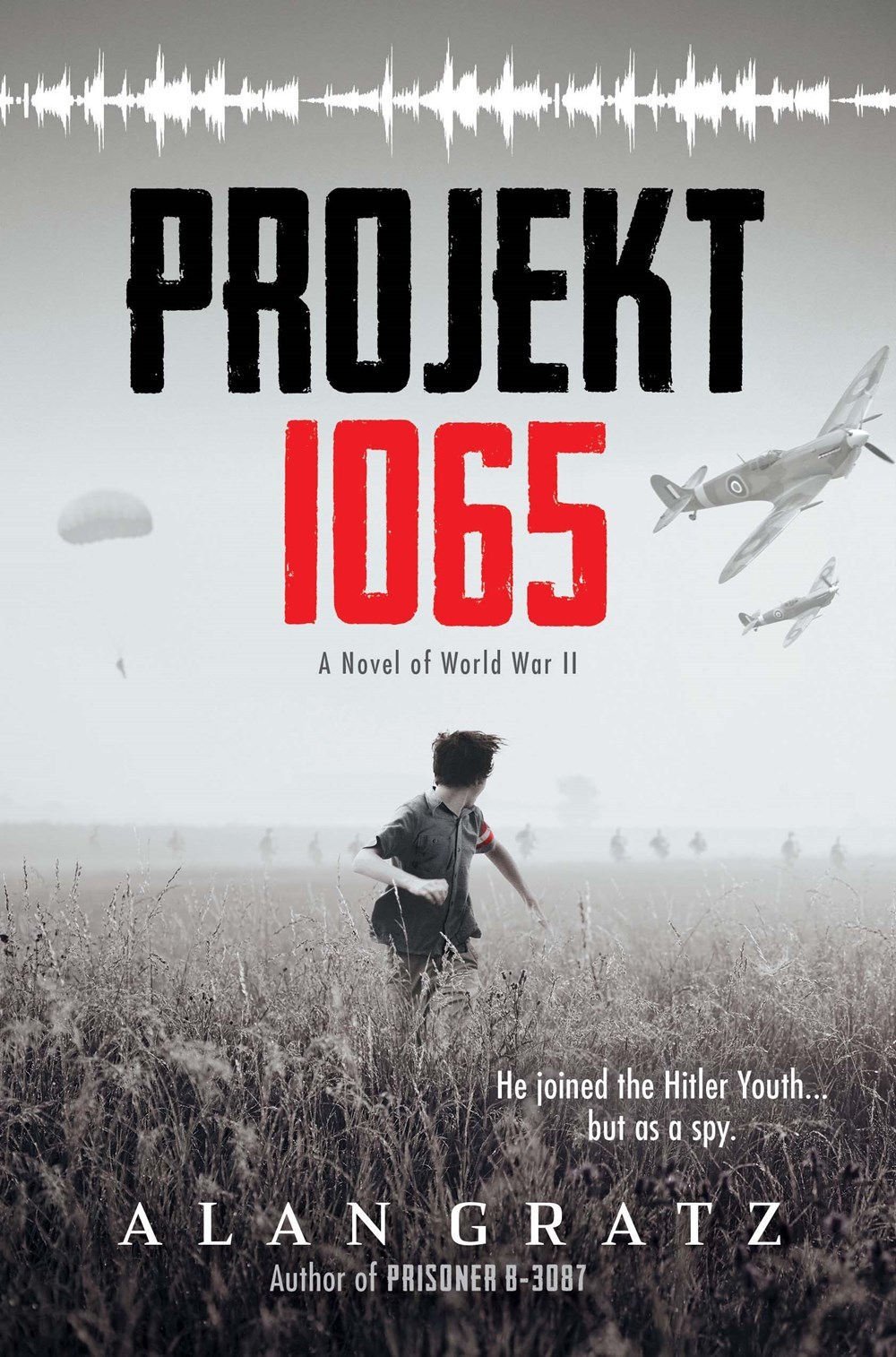 Projekt 1065 book cover