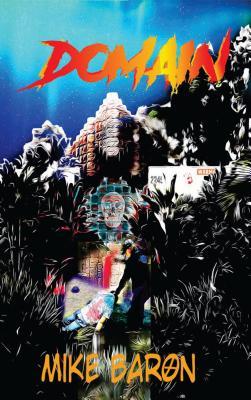 Domain book cover