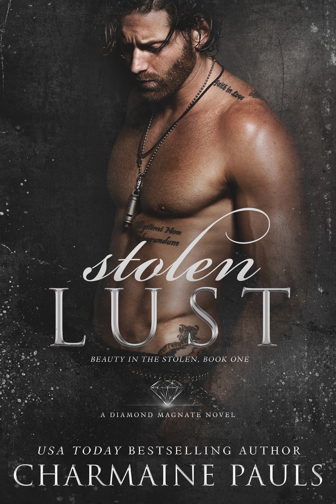 Beauty in the Stolen book cover 1