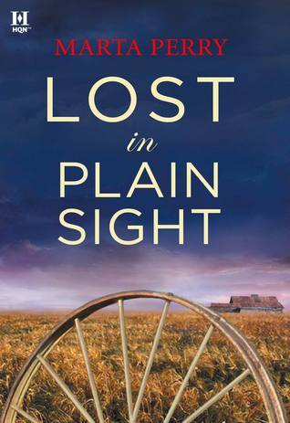 Lost in Plain Sight book cover