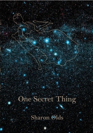 One Secret Thing book cover