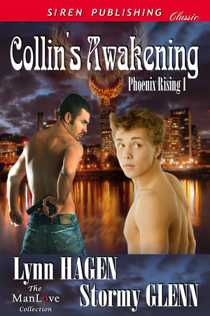 Phoenix Rising book cover 1