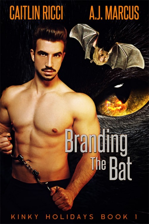 Kinky Holidays book cover 1