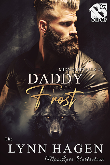Daddy Frost book cover