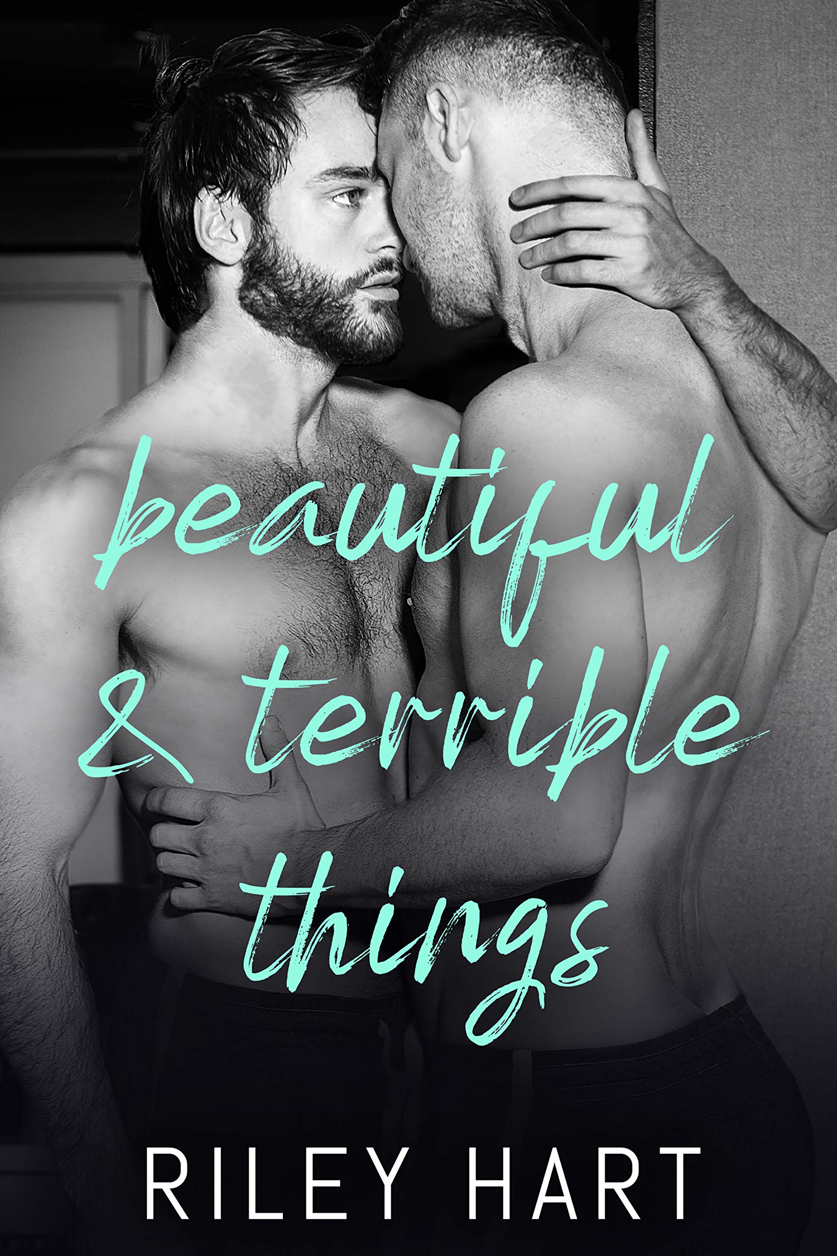 Beautiful & Terrible Things book cover